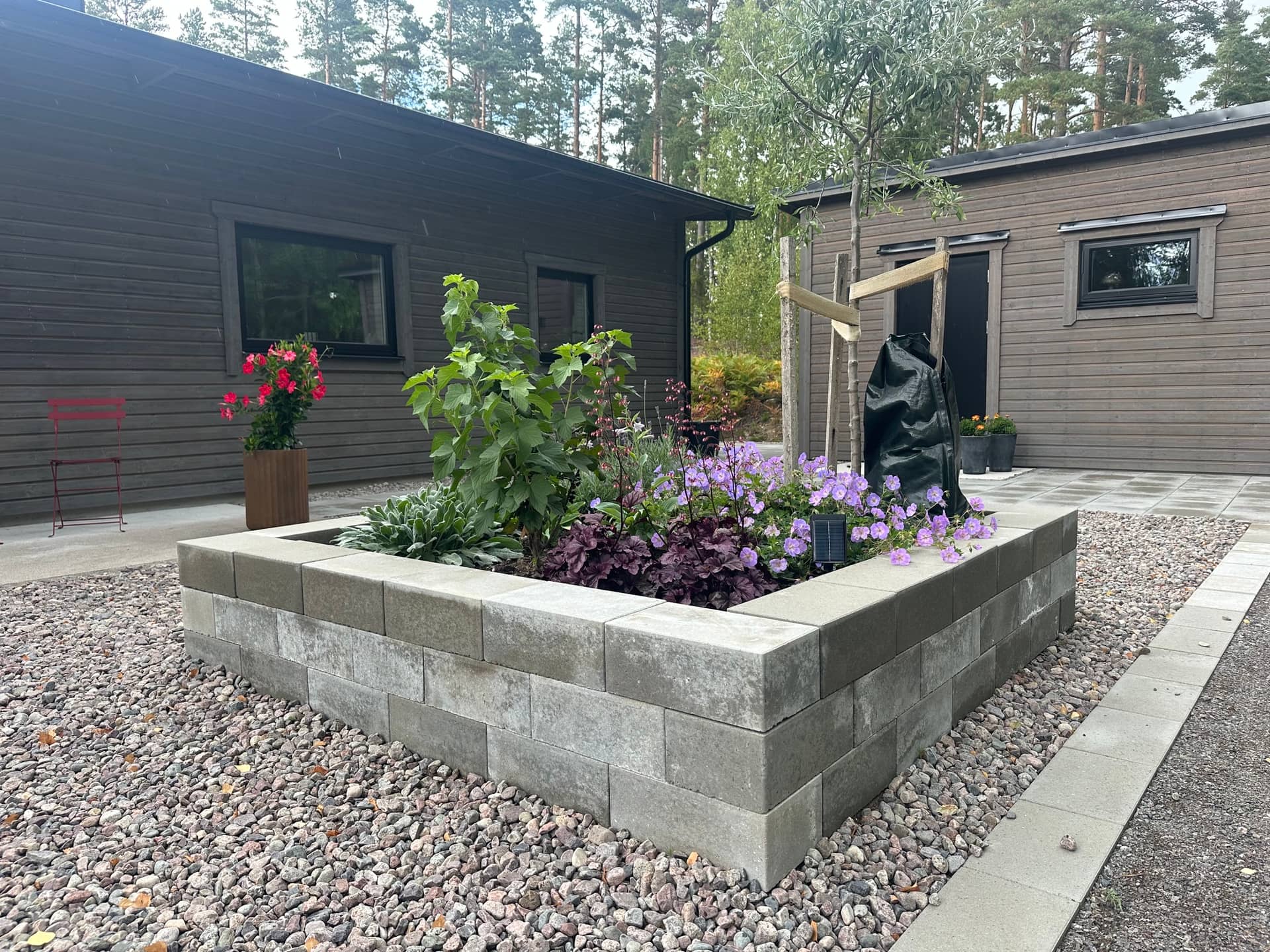Upphöjd rabatt i betongblock med plantering och ungträd